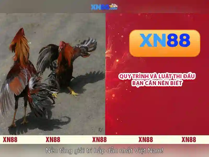 💎success slots💎