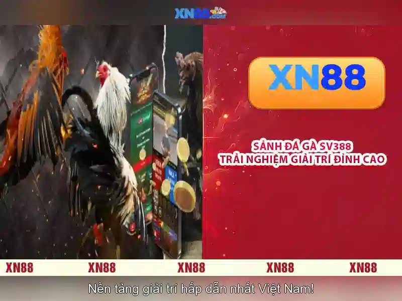 💎keo ca cuoc bong da so💎