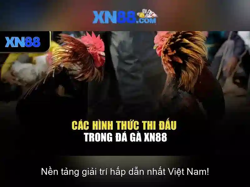 💎giáng sinh cá cược vnloto💎