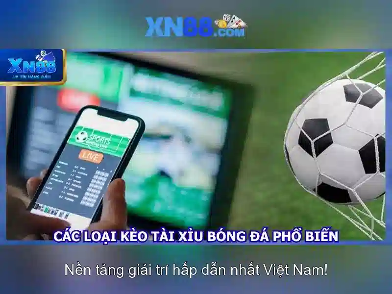 💎app cá cược châu âu💎