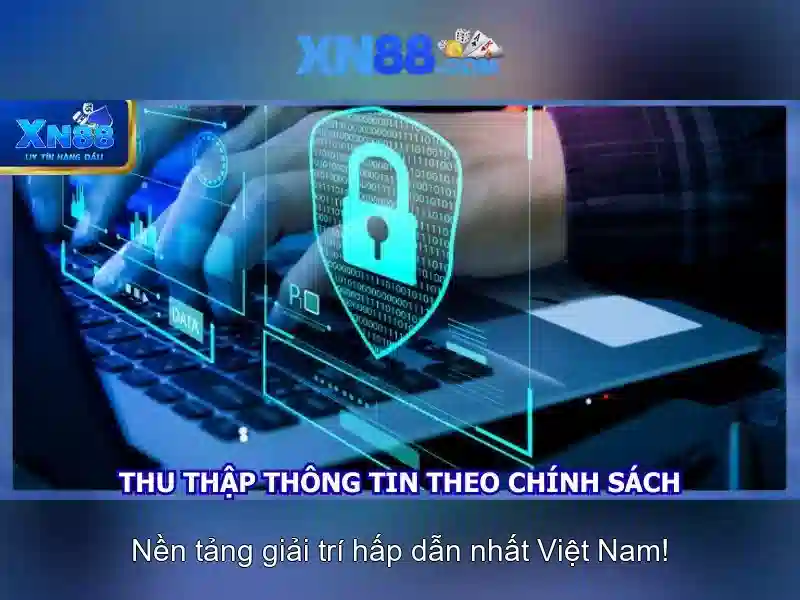  dịch vụ - XN88