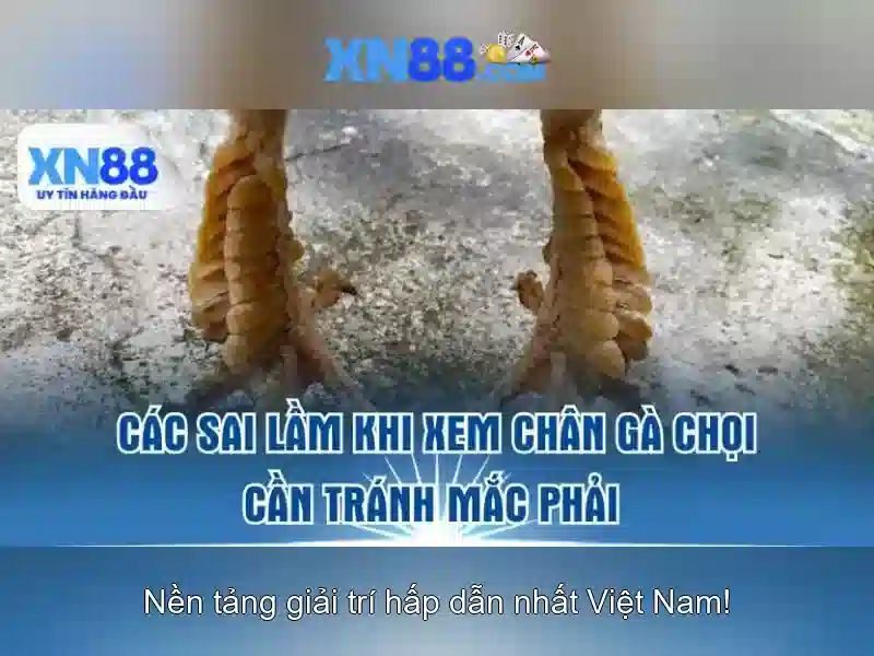 💎ca nhạc 60 năm cuộc đời💎