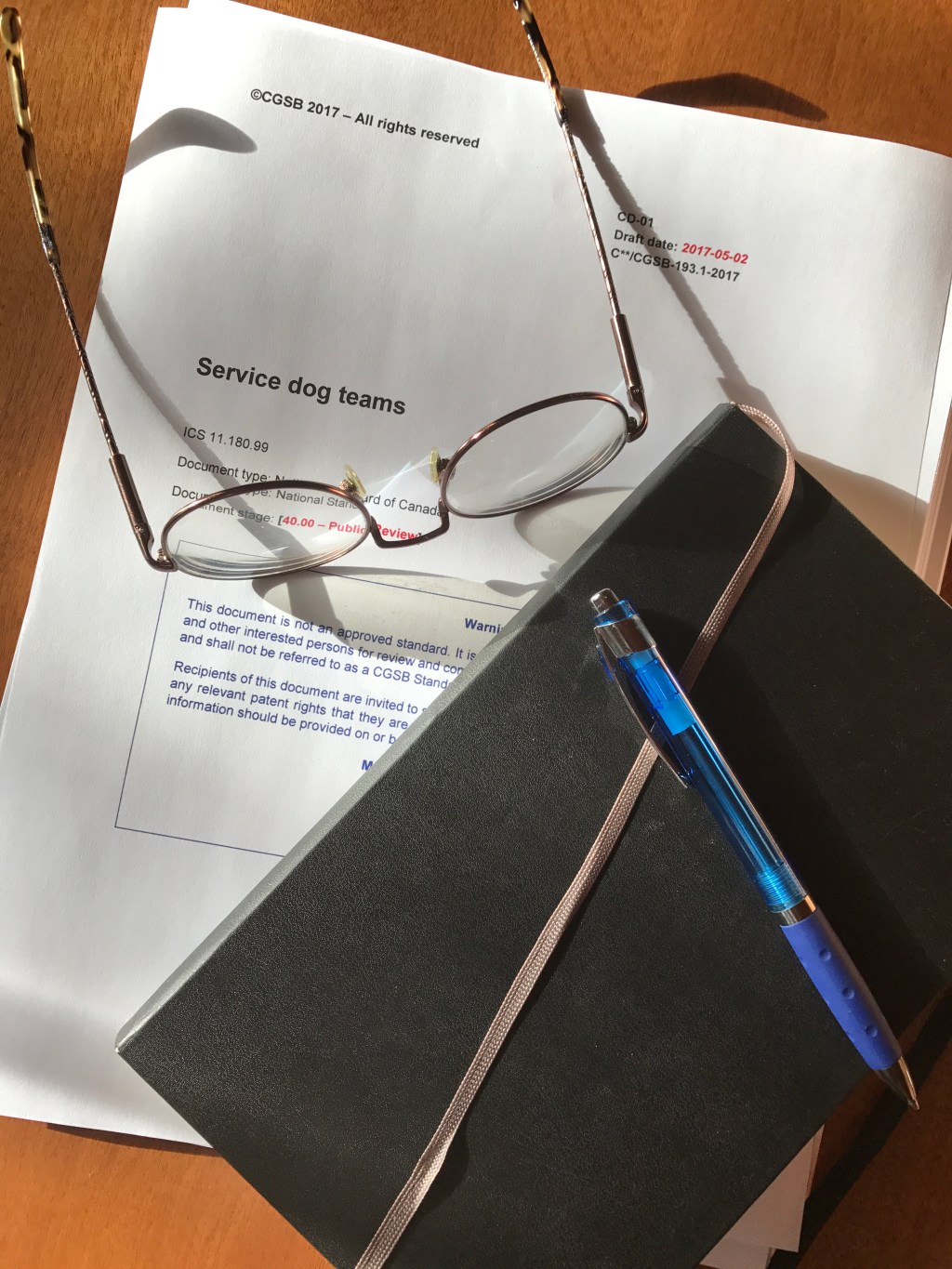 Cover page of the draft service dog team standard document, together with a notebook, pen, and eye glasses